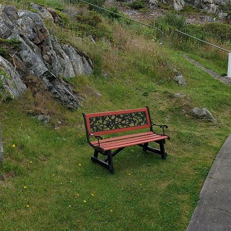 Hillside Cottage 1 Twillingate Exterior foto