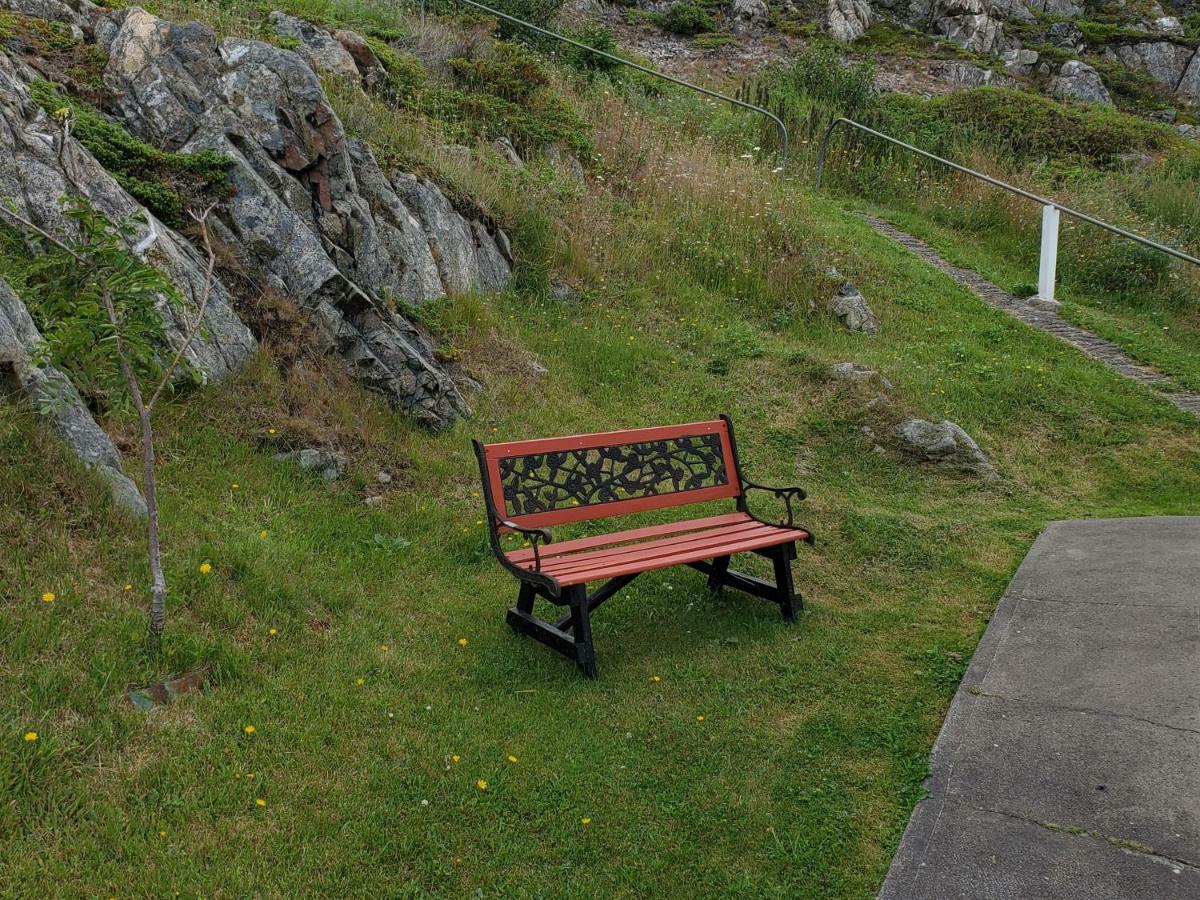 Hillside Cottage 1 Twillingate Exterior foto