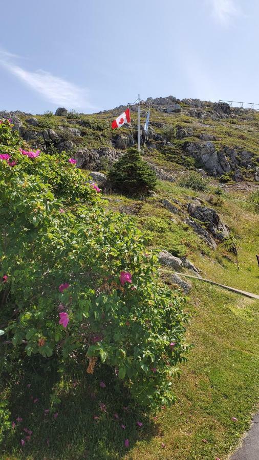 Hillside Cottage 1 Twillingate Exterior foto