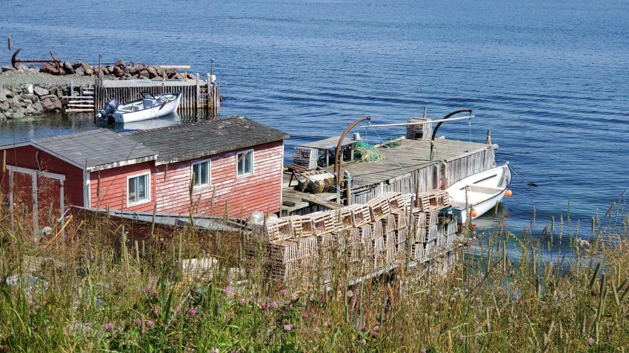 Hillside Cottage 1 Twillingate Exterior foto